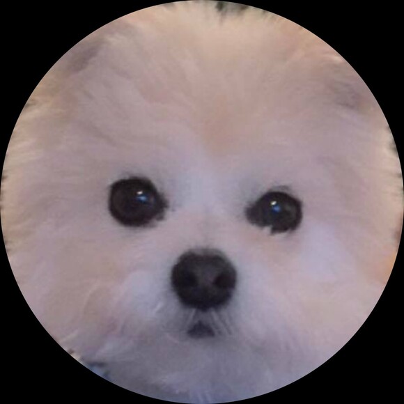 lionstribe59